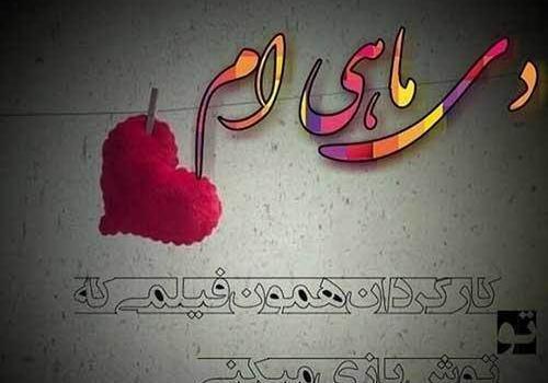 عکس دی ماهی جدید