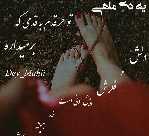 عکس دی ماهی جدید