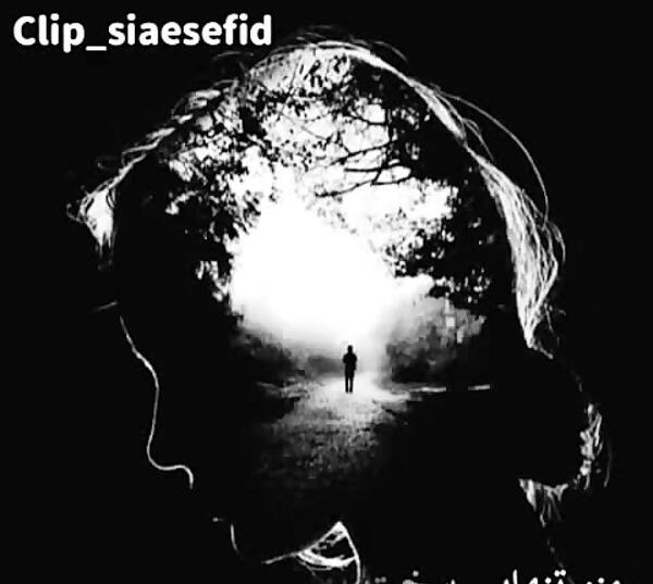 عکس نوشته تنهایی بهتر از گدایی محبته