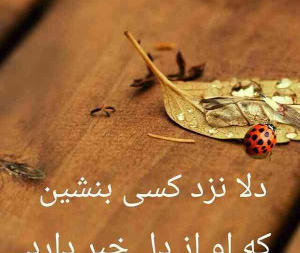 عکس نوشته به کسانی که به شما حسادت میکنند احترام بگذارید
