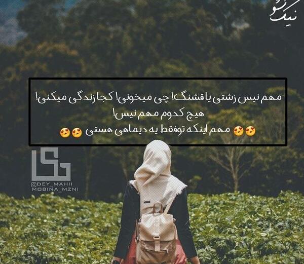 عکس نوشته دی ماهی زیبا