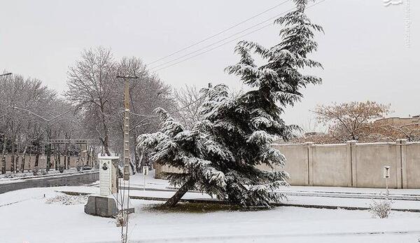 عکس برف پری