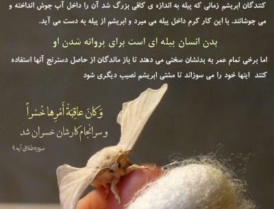 عکس نوشته سوره طلاق