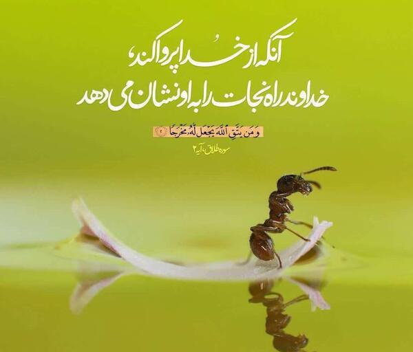 عکس نوشته سوره طلاق