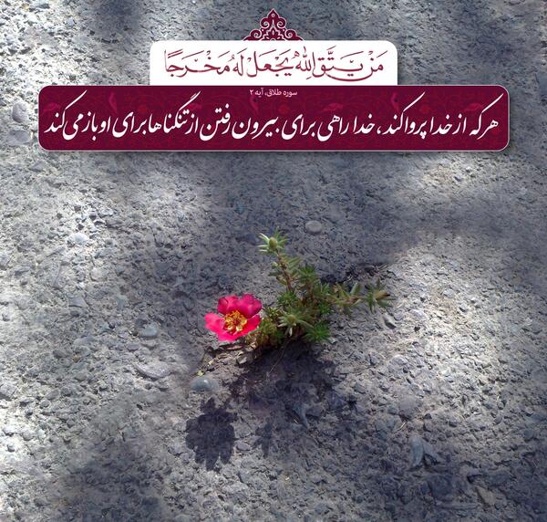 عکس نوشته سوره طلاق