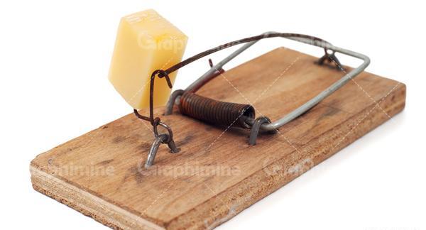 عکس موش تله