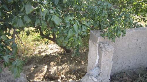 عکس خودکشی در دزفول