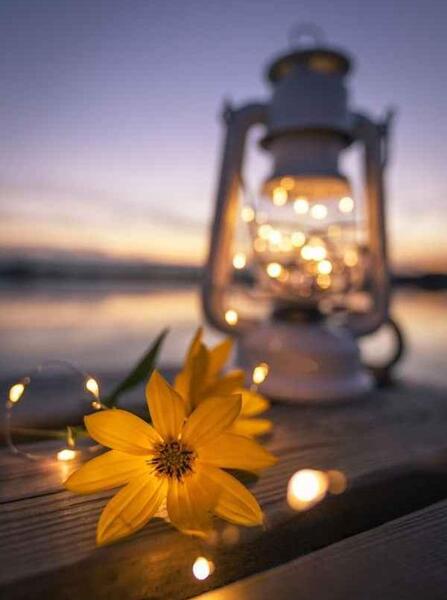 عکس های جونگ کوک برای پس زمینه