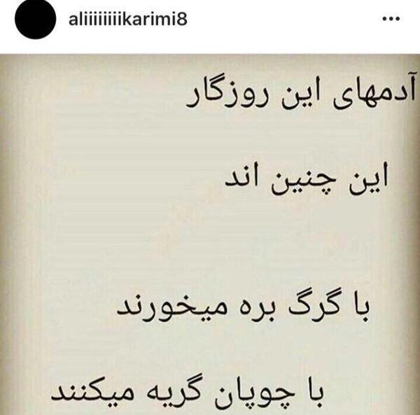 عکس نوشته با گرگ بره میخورند