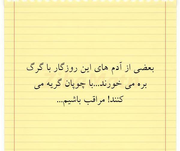 عکس نوشته با گرگ بره میخورند