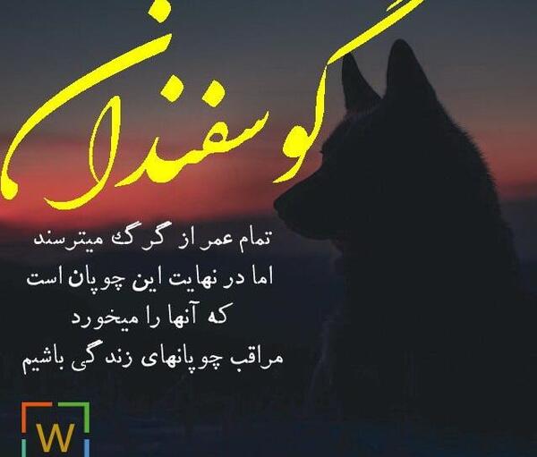 عکس نوشته با گرگ بره میخورند