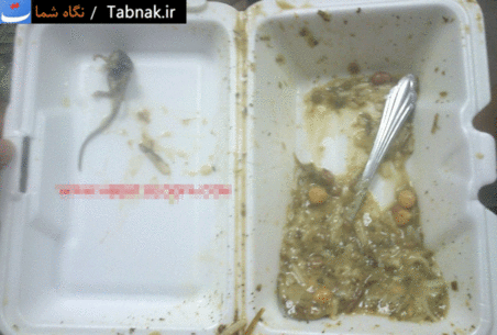 عکس غذای موش