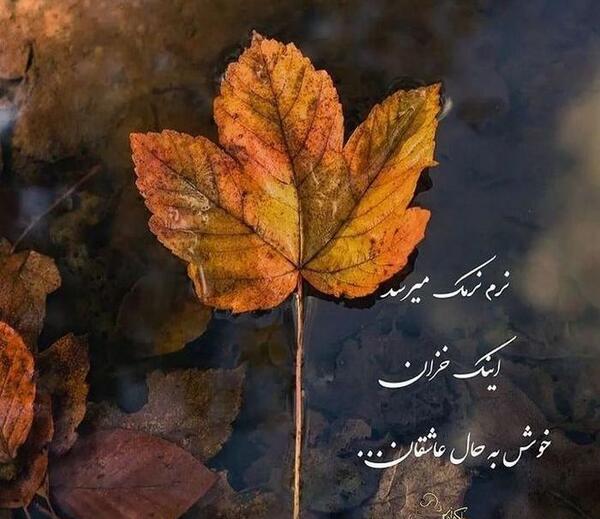 عکس نوشته رفتن پاییز