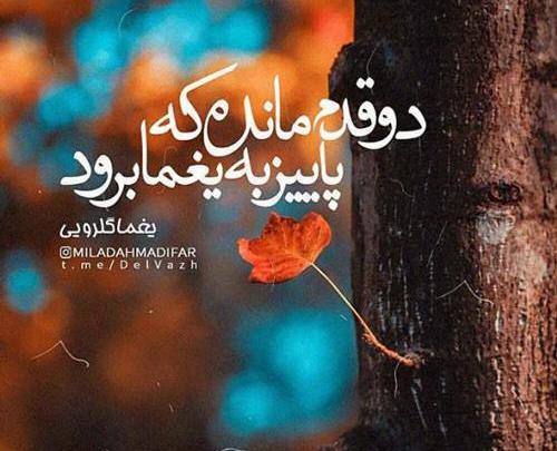 عکس نوشته رفتن پاییز
