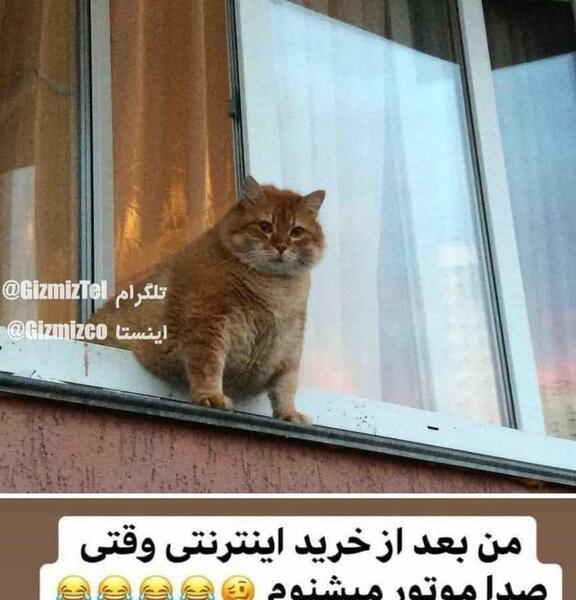 عکس نوشته طنز خرید اینترنتی