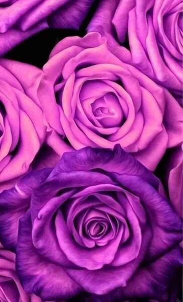 عکس نوشته با زمینه بنفش