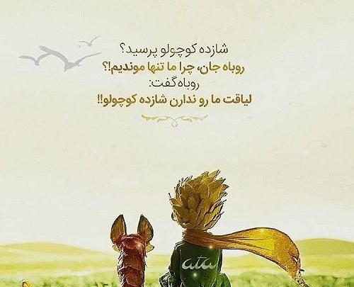 عکس نوشته های زیبا از کتاب شازده کوچولو