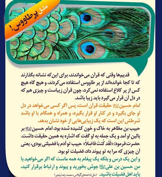 عکس نوشته پر طاووس قشنگ است