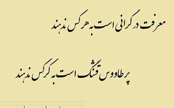 عکس نوشته پر طاووس قشنگ است