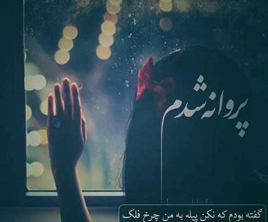 عکس نوشته پیله تنهایی