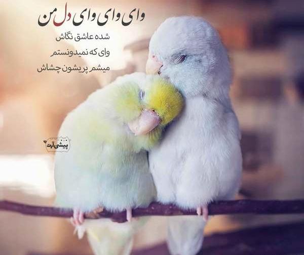 عکس نوشته شده عاشقانه زیبا