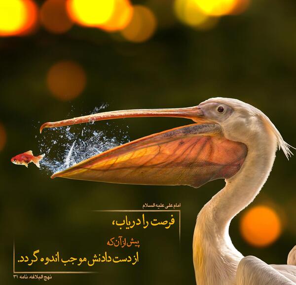 عکس نوشته غنیمت شمردن فرصت