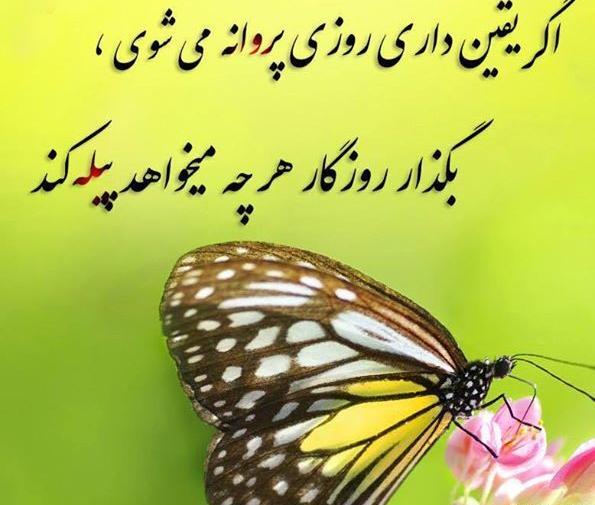 عکس نوشته غنیمت شمردن فرصت