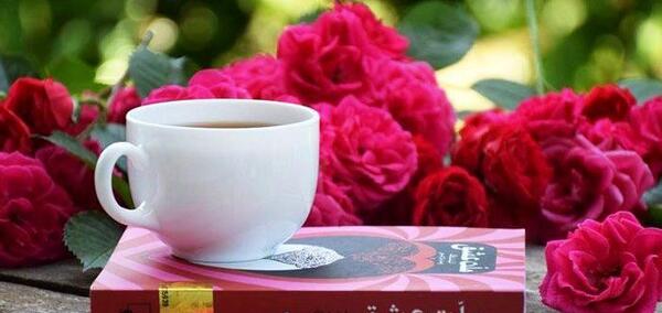 عکس نوشته از کتاب ملت عشق