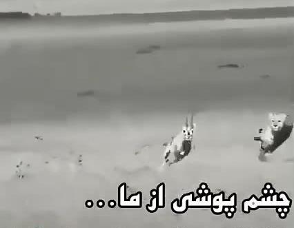 عکس نوشته چشم پوشی ازما خیال زرنگی از شما