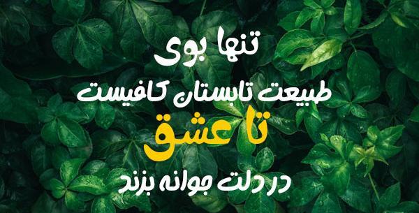 عکس نوشته آخرین روزهای تابستان