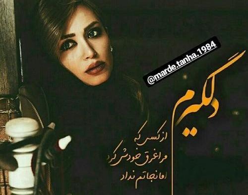 عکس نوشته من گدای محبت نیستم