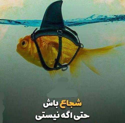 عکس نوشته دختر باید شجاع باشه