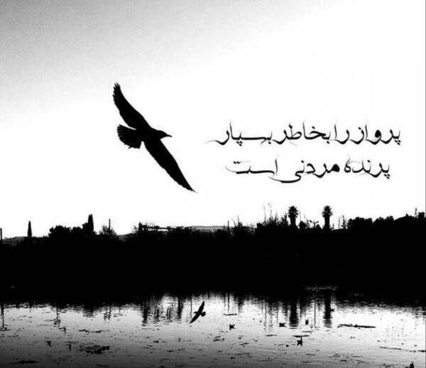 عکس نوشته پرواز را به خاطر بسپار
