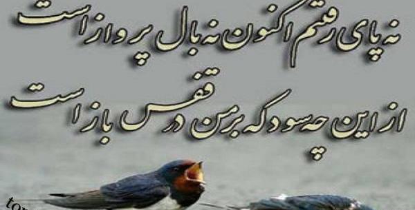 عکس نوشته پرواز را به خاطر بسپار
