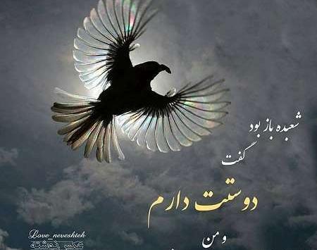 عکس نوشته پرواز را به خاطر بسپار