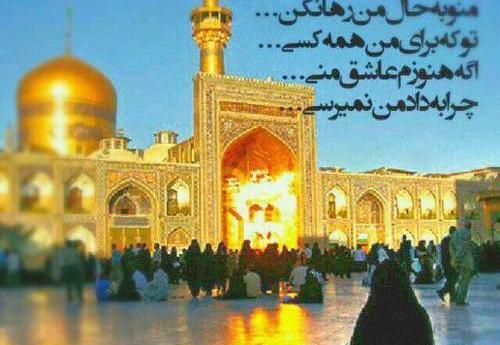 عکس نوشته کمتر از آهو که نیستم میشه ضامنم بشی