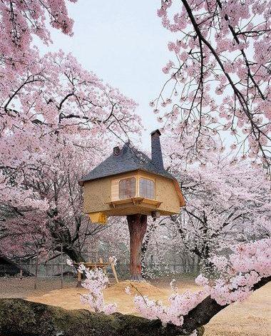 عکس کلبه پر از گل