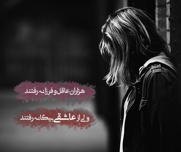 عکس نوشته شعر جامی