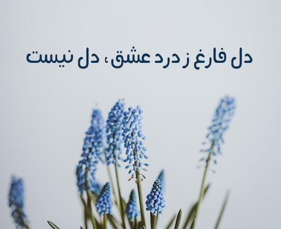 عکس نوشته شعر جامی