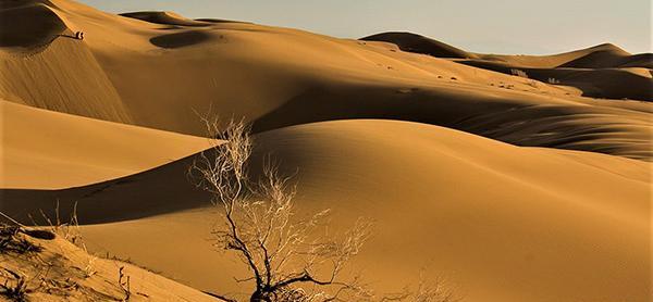 عکس های کویر مصر