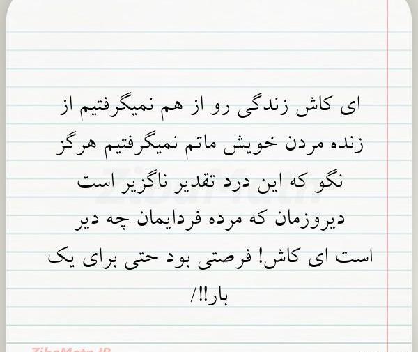 عکس نوشته کاش زندگی هم حالت پرواز داشت