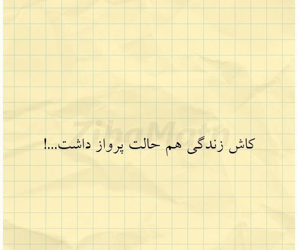 عکس نوشته کاش زندگی هم حالت پرواز داشت