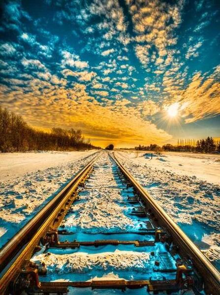 عکس عروسک حیوانات زیبا