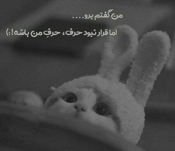 عکس خرگوش کارتونی غمگین