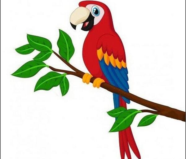 عکس نقاشی ساده طوطی در قفس
