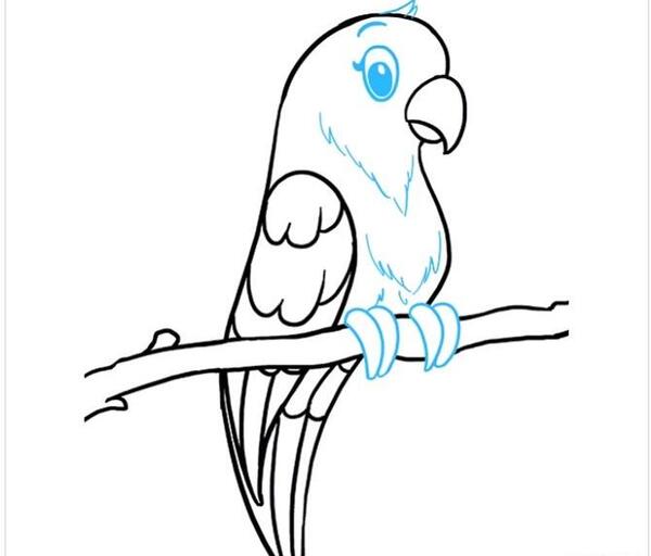 عکس نقاشی ساده طوطی در قفس