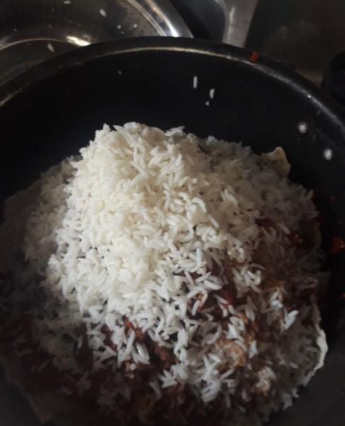 عکس موش له شده