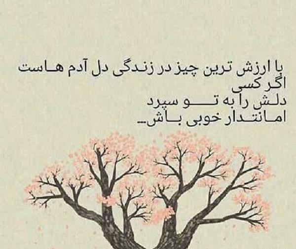 عکس نوشته خیانت در امانت
