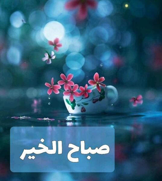 عکس نوشته صبح بخیر به زبان عربی