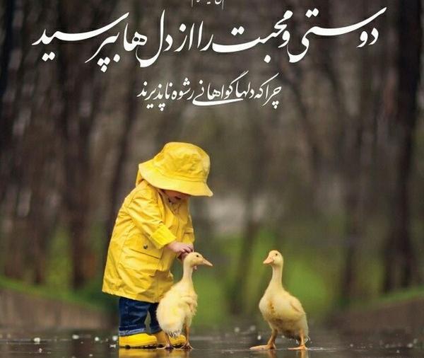 عکس کلبه مهربانی